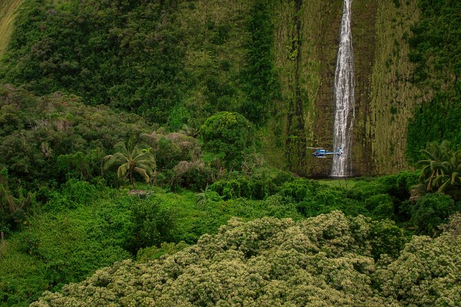 Exclusive Landing With Spectacular Big Island Helicopter Tour - Customer Experiences