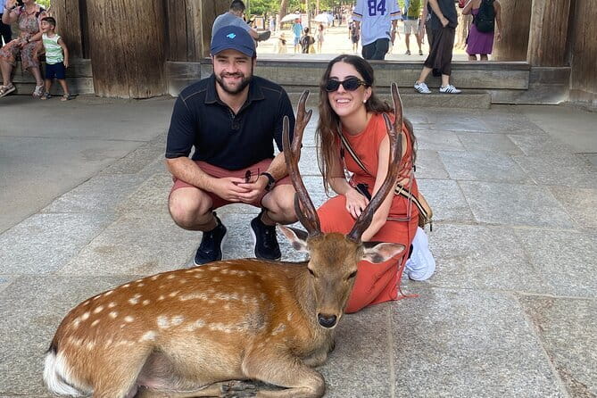 Exclusive Luxury Day Tours Serene Nara - Transportation and Pickup Details