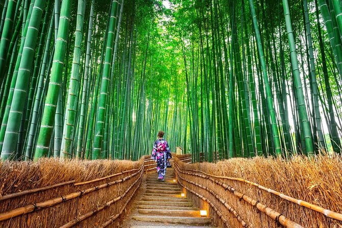 Exclusive Luxury Day Tours Serene Nara - Isuien Garden