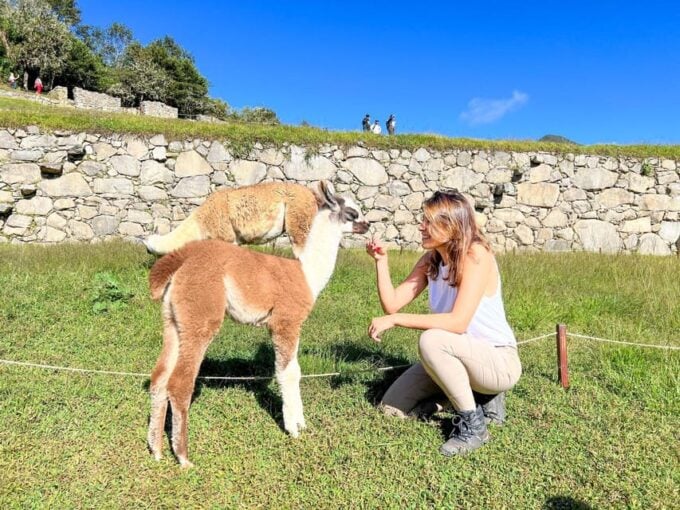 Exclusive Machupicchu Day Tour - Expedition - Departure and Return