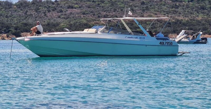 Exclusive Motor Boat Dolphins Watch - Itinerary Highlights