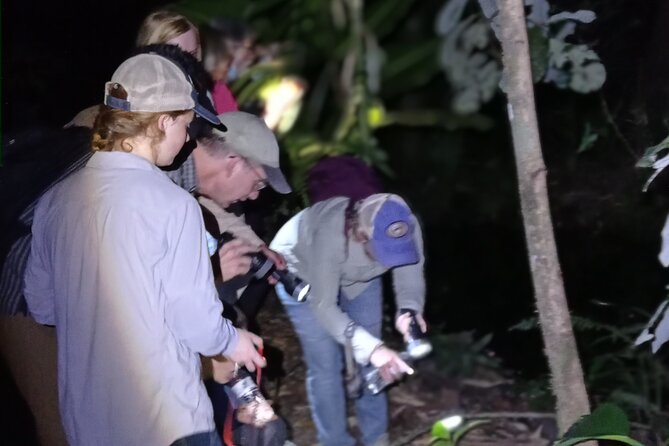 Exclusive Night Walk in La Fortuna and Natural Frog Garden . - Inclusions and Accessibility