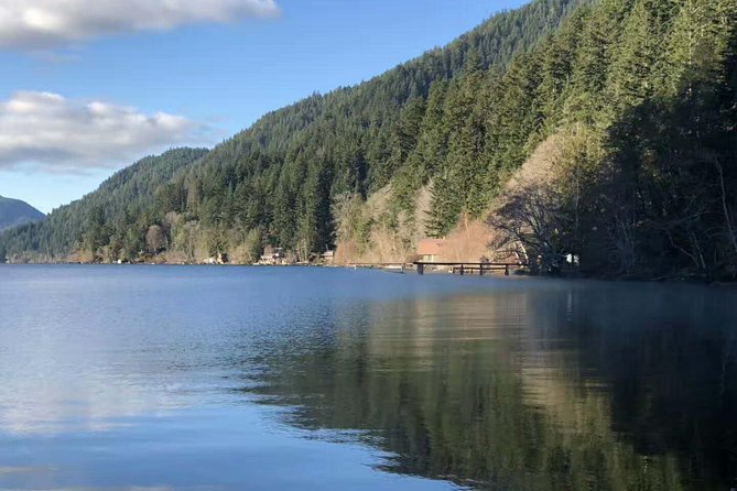 Exclusive Olympic National Park Day Tour W Cross Bay Ferry - Visiting Scenic Overlooks
