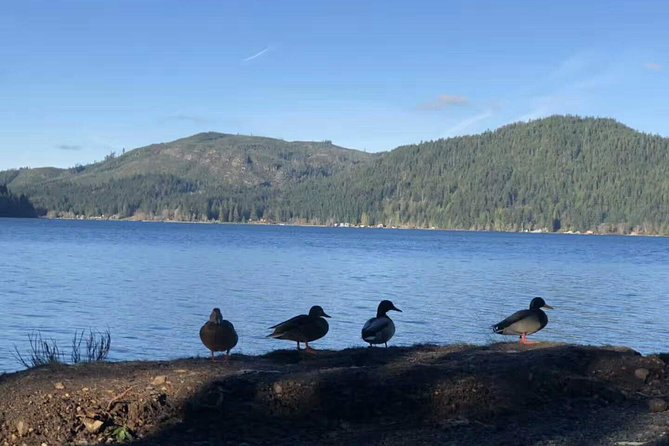 Exclusive Olympic National Park Day Tour W Cross Bay Ferry - Additional Tour Information