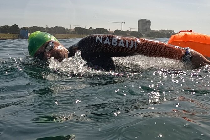 Exclusive Open Water Swimming Experience in Porto - What to Expect During the Activity