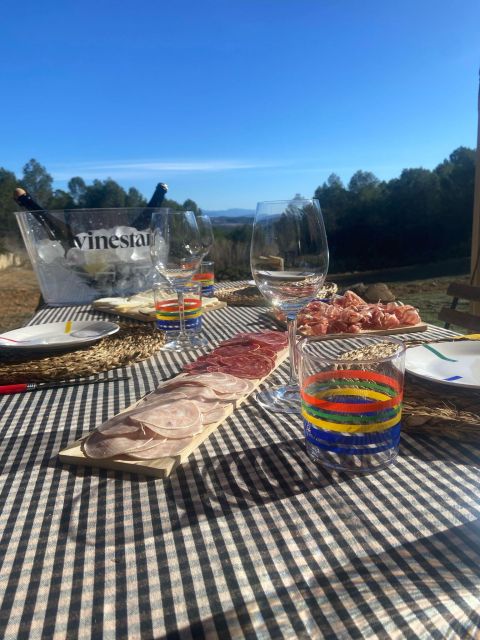 Exclusive Penedes Wine Tour & Brunch in the Vineyard - Inclusions and Activities