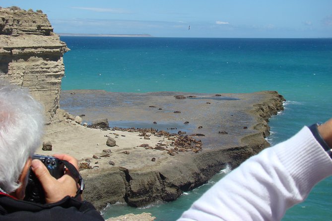 Exclusive Peninsula Valdes Nature & Wildlife With Entry Fee and Box Lunch - Key Points
