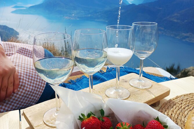 Exclusive Picnic in the Foothills of the Alps With the Lake Views - Dress for the Occasion
