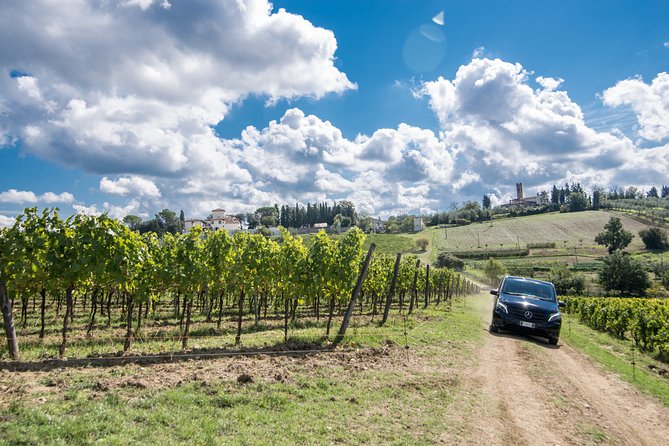 Exclusive Pisa and Wine Tour - Pisa Highlights