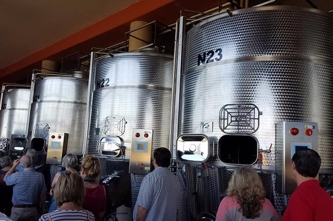 Exclusive Pisa and Wine Tour - Wine Tasting Experience