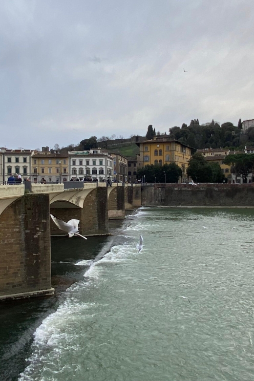 Exclusive Pisa Florence Tour and Wine Tasting From Livorno - Pisa Itinerary