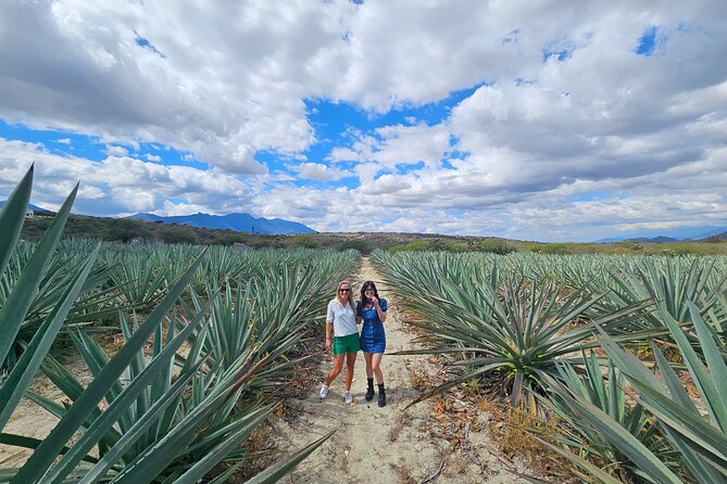 Exclusive: Premium Mezcal, Hierve El Agua, Textiles & Lunch - Key Points