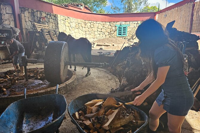 Exclusive: Premium Mezcal, Hierve El Agua, Textiles & Lunch - Traditional Oaxacan Lunch