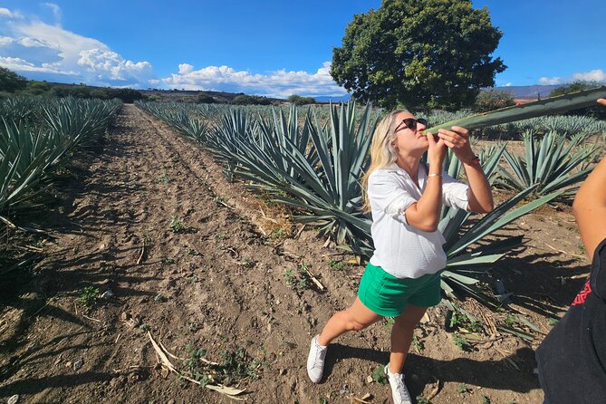 Exclusive: Premium Mezcal, Hierve El Agua, Textiles & Lunch - Oaxaca Textile Showcase