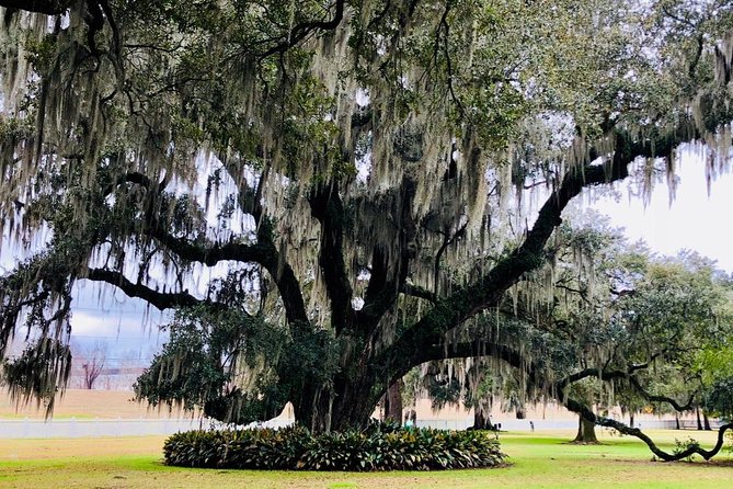 Exclusive Private Access Evergreen Plantation & City Tour - Tour Overview