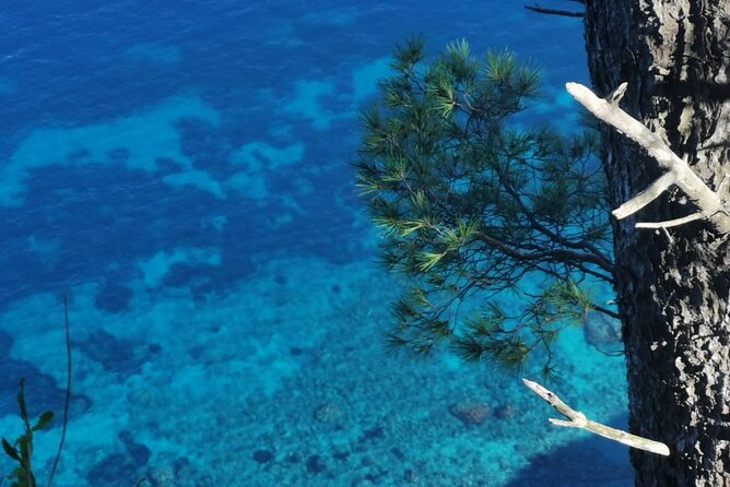 Exclusive Private Boat Tour in Italy - Exploring the Sorrento Coast
