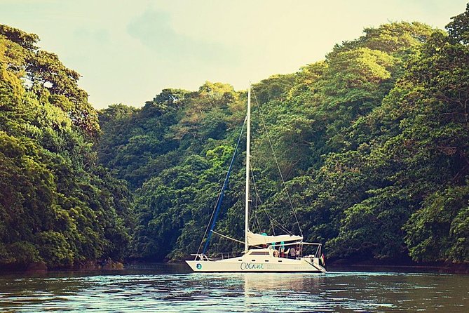 Exclusive Private Catamaran Adventure: Ile Aux Cerf (Full Day Cruise Incl Lunch) - Gourmet Lunch and Drinks