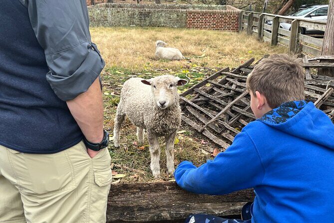 Exclusive Private Colonial Williamsburg Walking Tour by a Local - Exploring the Itinerary in Detail