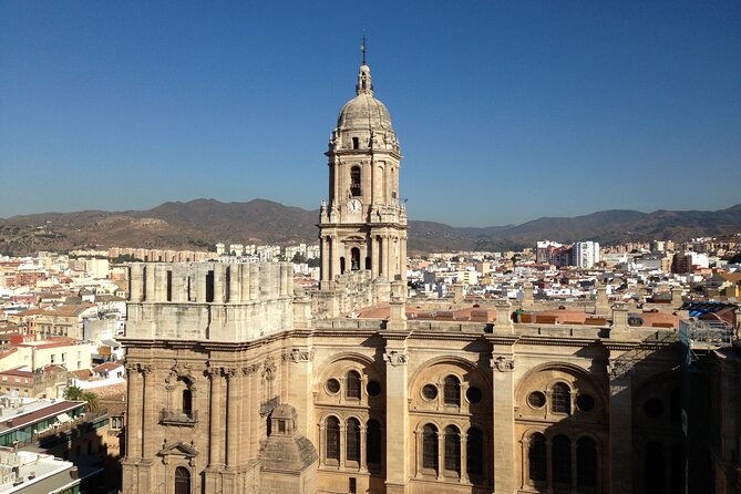 Exclusive Private Malaga Walking Tour by Pro-Licensed Tour Guides - Accessibility and Transportation