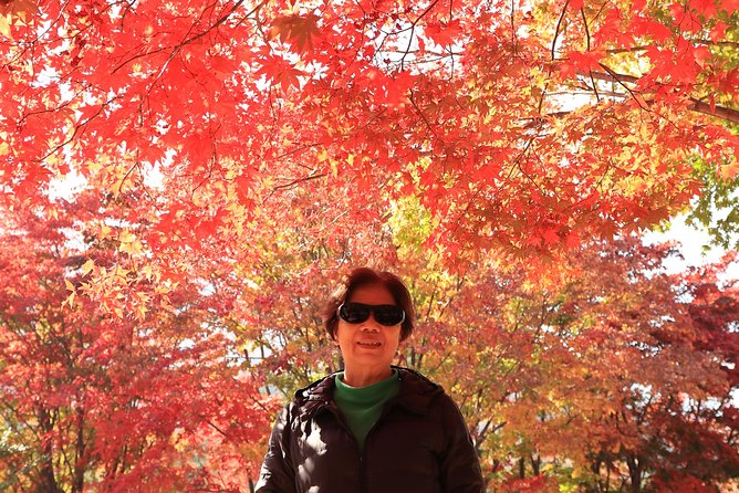 Exclusive Private Trip to Mt Seorak & East Sea!! - Pricing and Payment