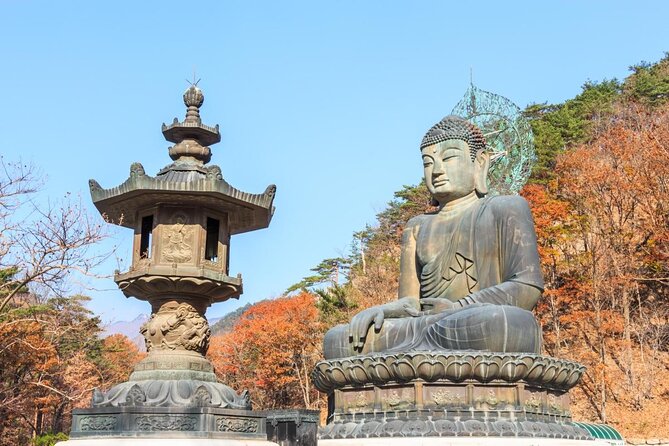 Exclusive Private Trip to Mt Seorak & East Sea!! - Customer Reviews