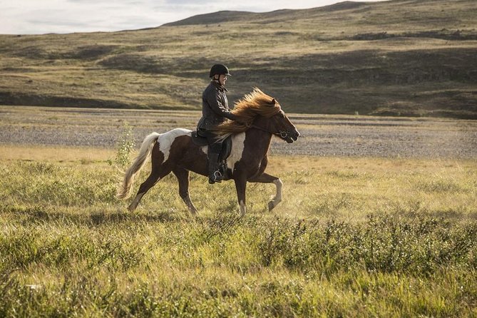 Exclusive Riding Program for Advanced Horse Riders - Give Me 5! - 2 to 3 Hours - About Your Stay