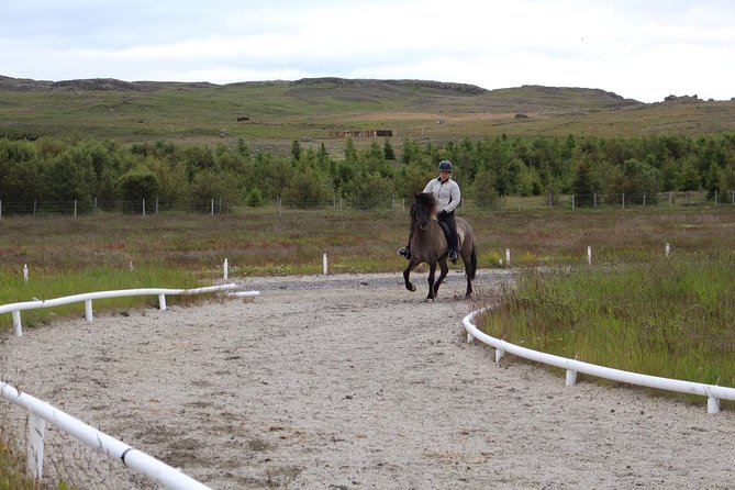 Exclusive Riding Program for Advanced Horse Riders - Give Me 5! - 2 to 3 Hours - Activity Details