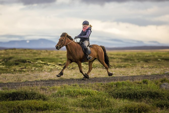 Exclusive Riding Program for Advanced Horse Riders - Give Me 5! - 2 to 3 Hours - Rider Fitness Requirements