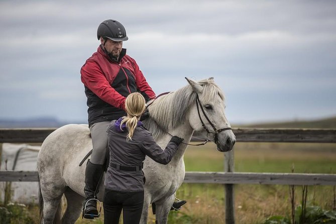 Exclusive Riding Program for Advanced Horse Riders - Give Me 5! - 2 to 3 Hours - Questions About Staying Here
