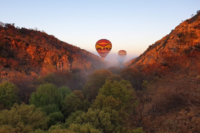 Exclusive Safari Flight - Amenities and Inclusions