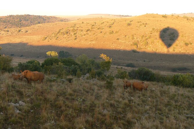 Exclusive Safari Flight - Health and Safety Considerations