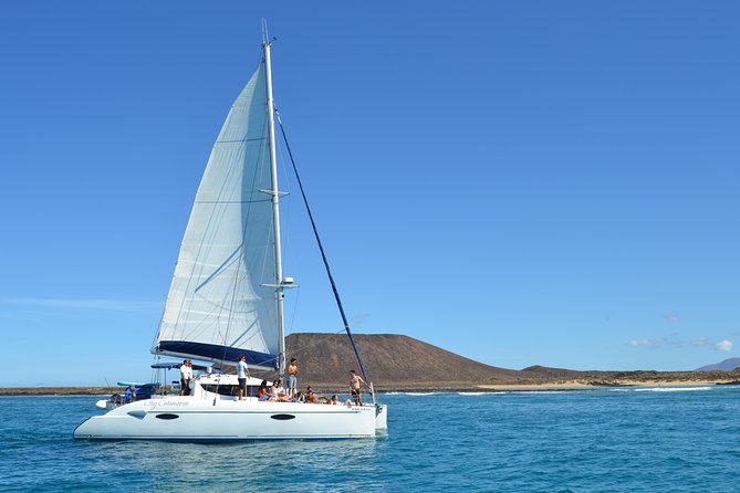 Exclusive Sailing Catamaran Experience to Lobos Island With Lunch and Drinks - Traveler Reviews