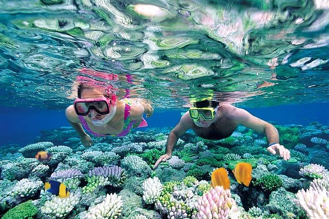 Exclusive Sailing Isla Mujeres. Top Tour ! ( No Hidden Fees) - Duration and Capacity