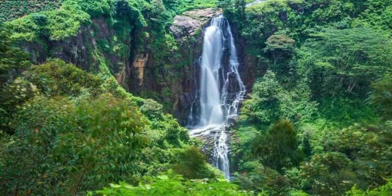 Exclusive: Scenic Train Ride & Horton Plains Private Tour - Key Points