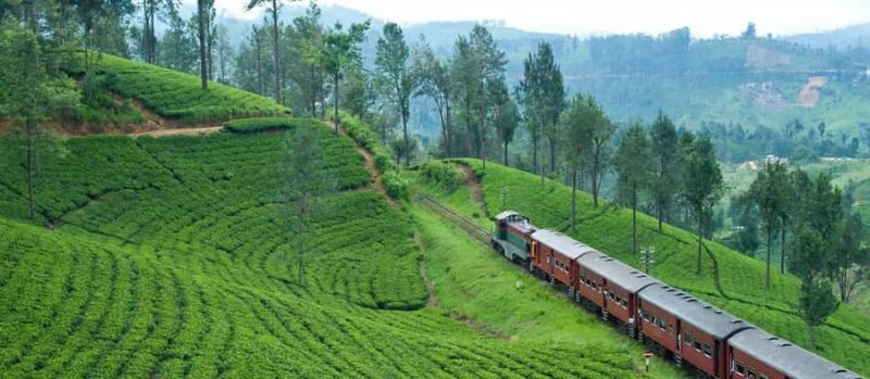 Exclusive: Scenic Train Ride & Horton Plains Private Tour - The Scenic Train: Why It Matters