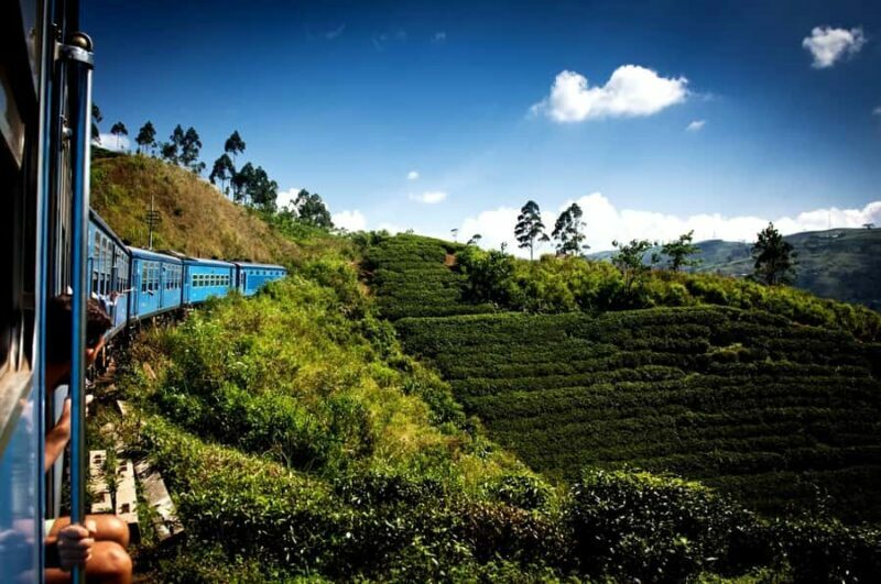 Exclusive: Scenic Train Ride & Horton Plains Private Tour - Wildlife and Flora