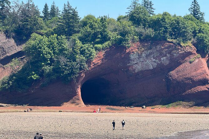 Exclusive Sightseeing Tour in Saint John - Who Will Love This Tour?
