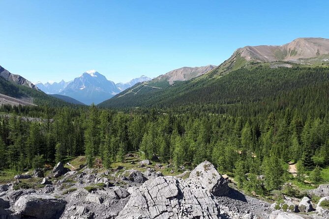 Exclusive Skoki Backcountry Guided Hiking in Lake Louise With Van Shuttle - Inclusions in the Tour