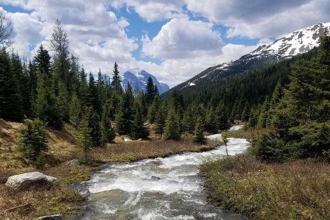 Exclusive Skoki Backcountry Guided Hiking in Lake Louise With Van Shuttle - Accessibility and Fitness Level