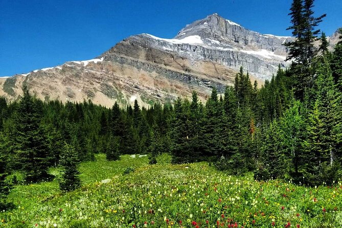Exclusive Skoki Backcountry Guided Hiking in Lake Louise With Van Shuttle - Attire and Equipment