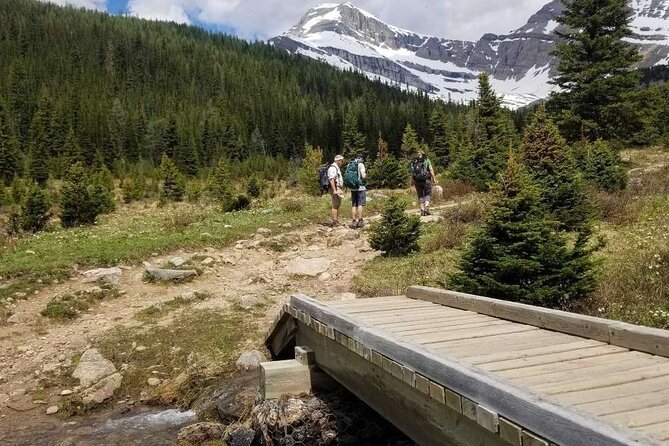 Exclusive Skoki Backcountry Guided Hiking in Lake Louise With Van Shuttle - Sandwich Preference Selection