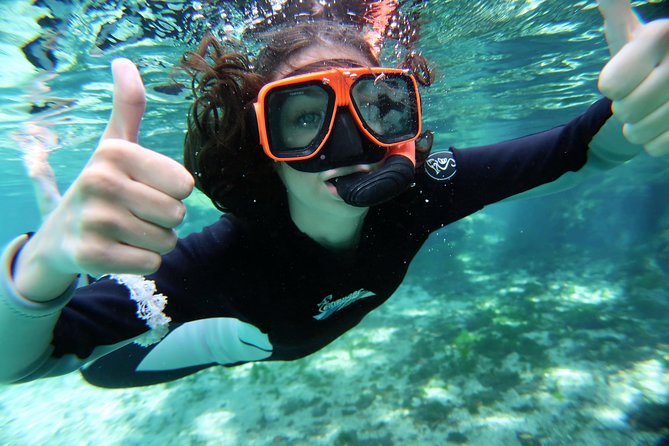 Exclusive Small Group VIP Heated Manatee Snorkel Tour - What To Expect