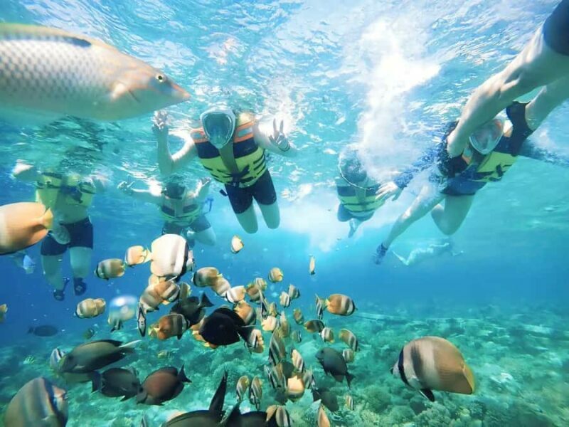 Exclusive Snorkeling Tour to Lombok's Pink Beach and 3 Gilis - Detailed Breakdown of the Itinerary