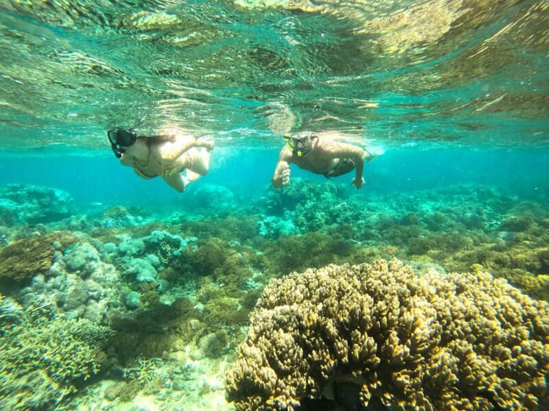 Exclusive Snorkeling Tour to Lombok's Pink Beach and 3 Gilis - Final Thoughts: Is It Worth It?