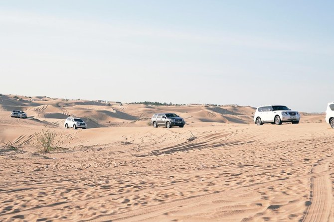 Exclusive Sunrise Desert Safari With Camel Ride Sand Boarding Dune Bashing - Participant Information