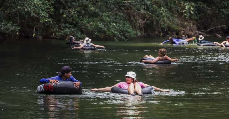 Exclusive Taironaka Excursion: Your Shared Adventure - Key Points
