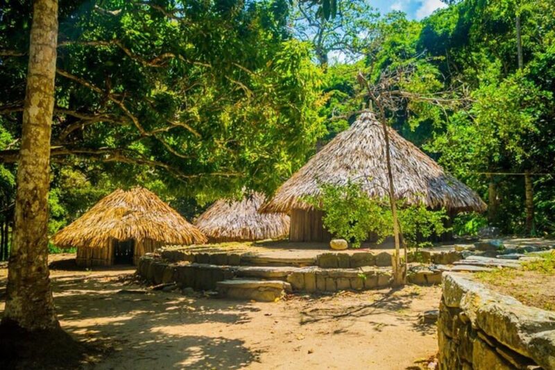 Exclusive Taironaka Excursion: Your Shared Adventure - Immersive Exploration