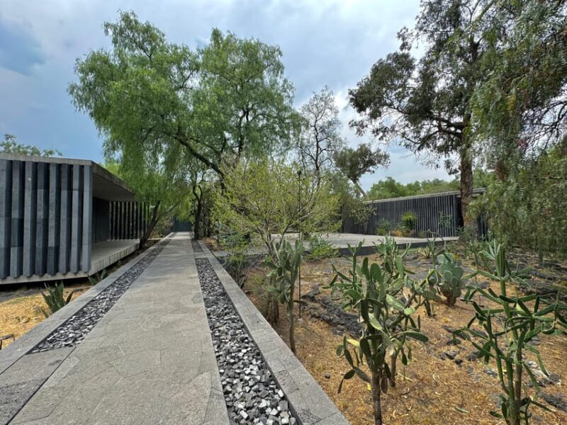 EXCLUSIVE TOUR Diego Rivera Anahuacalli Museum-Small Groups - Customer Feedback