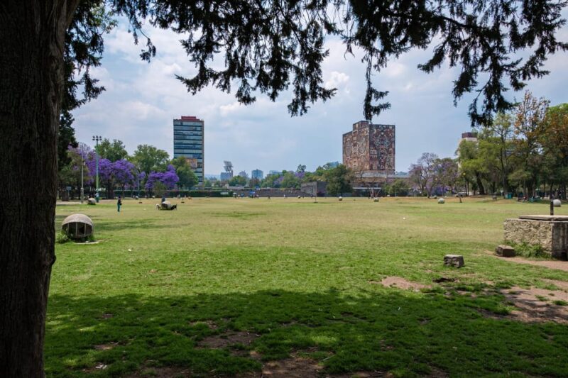 EXCLUSIVE TOUR: Murals & Stadium at Ciudad Universitaria - Experience Highlights