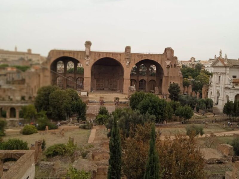 Exclusive Tour of Ancient Rome and Domus Tiberiana - Visitor Guidelines